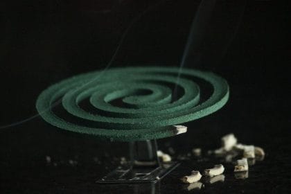 World Malaria Day 10 facts about malaria