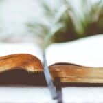 A brief review of Niyi Osundare’s ‘Wife Batterer’s Blues’