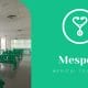 Best IVF hospitals in Turkey-Mespoir
