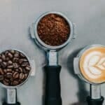 Mechanism of action of caffeine and theobromine
