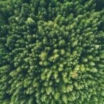 World Environment Day 2017 Connecting people to nature