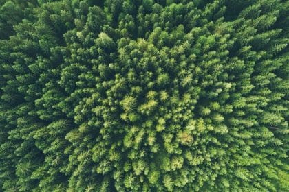 World Environment Day 2017 Connecting people to nature