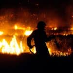 Burning bushes and dry riverbeds Why should we care