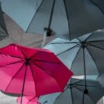 Everyone is unique Here is how to discover and embrace your uniqueness