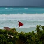 Nostalgia, flaw and fear Recognizing red flags in a relationship