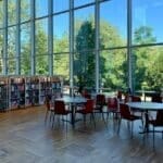 Roller-coaster is what you are the moment you enrolled into the university