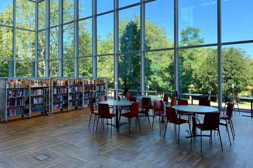 Roller-coaster is what you are the moment you enrolled into the university