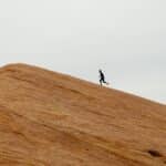 Two souls in a single body A journey into the mind of a solo writer