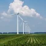 Wind farm operation market outlook predictions and forecasts for future growth