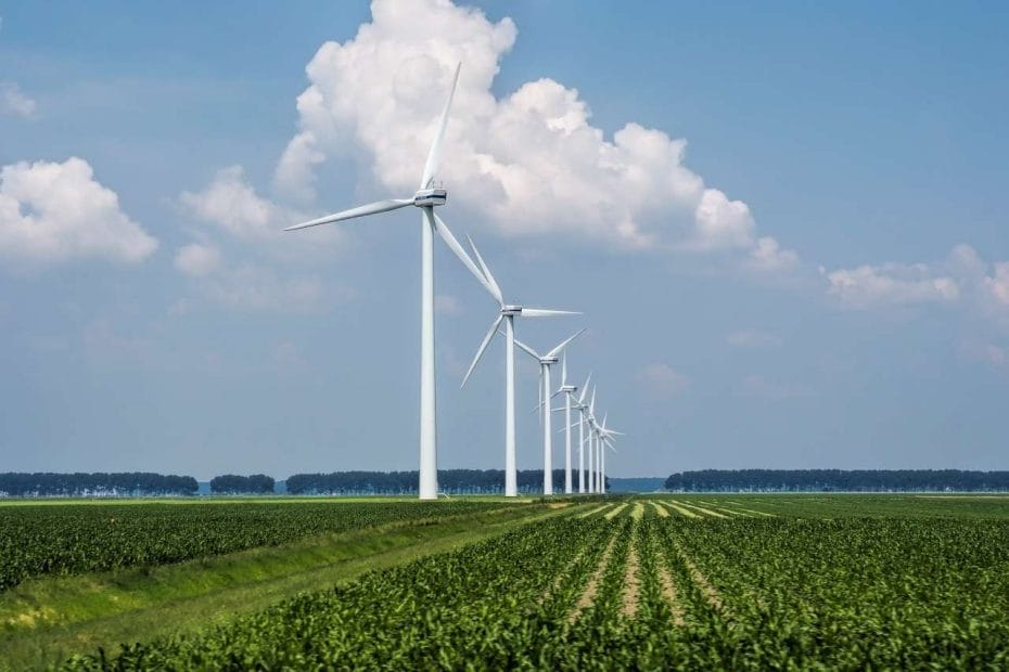 Wind farm operation market outlook predictions and forecasts for future growth