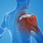 Maximizing Recovery The Key to Sustainable Fitness and Well-Being