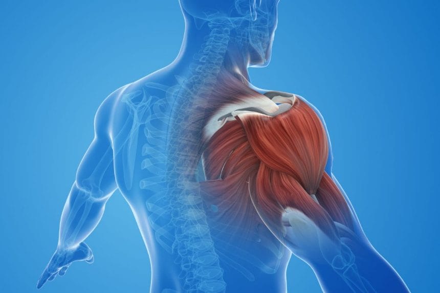 Maximizing Recovery The Key to Sustainable Fitness and Well-Being