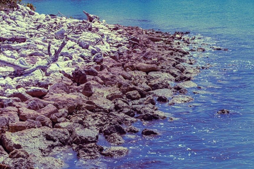 How acidic seas are reshaping the planet