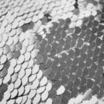 The role of Shark skin in modern medicine